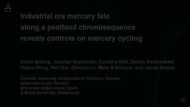 Industrial era mercury fate along a peatland chronosequence reveals controls on mercury accumulation